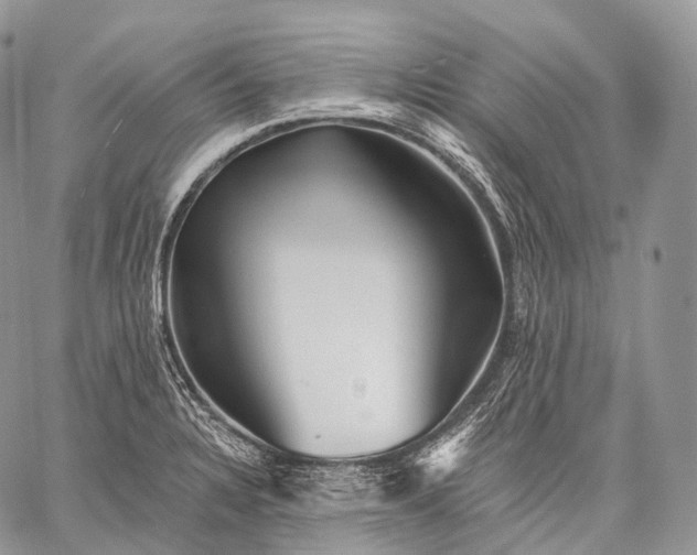 X0000059081328200510211532