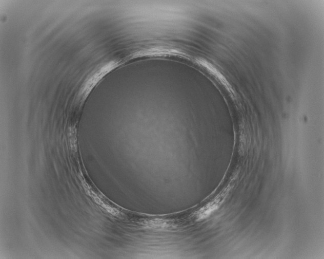 X0000059081329200510211532