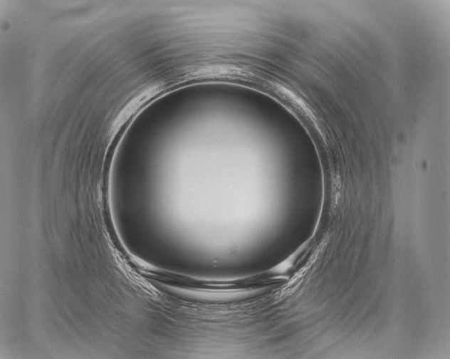 X0000059081330200510211532