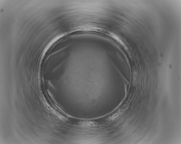 X0000059081331200510211532