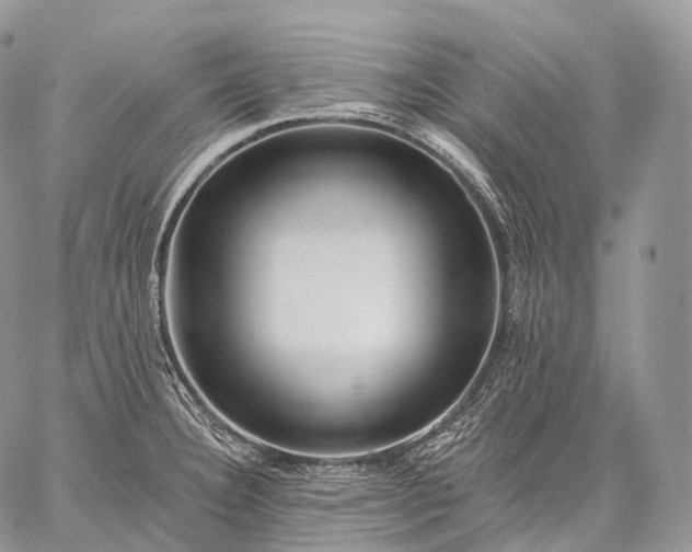 X0000059081332200510211532