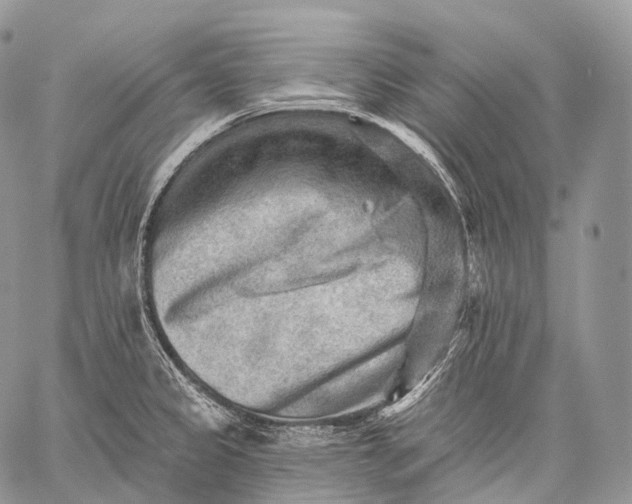 X0000059081333200510211532