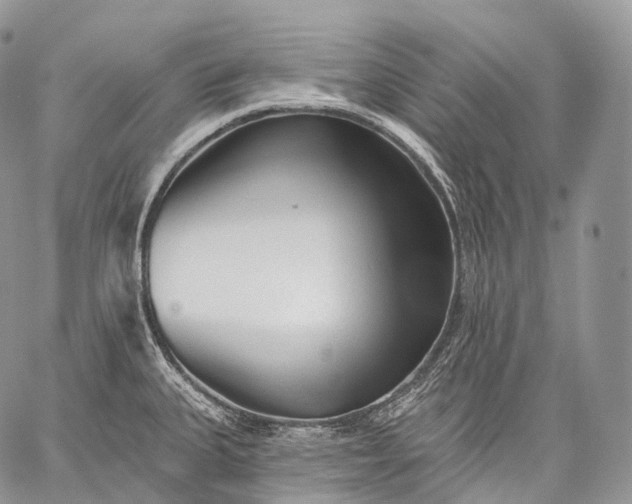 X0000059081335200510211532