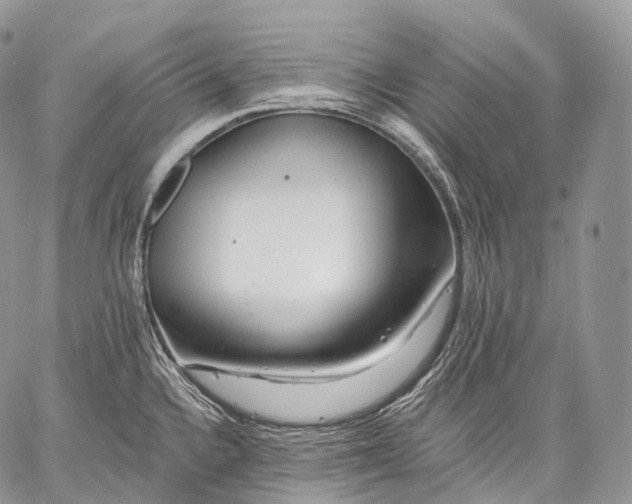 X0000059081336200510211532