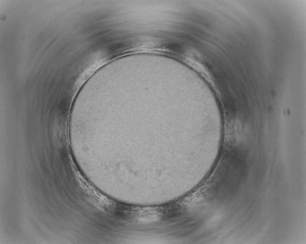 X0000059081338200510211532