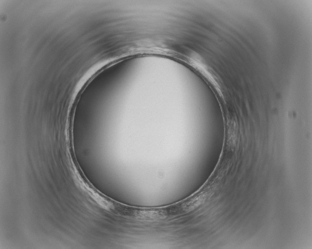 X0000059081339200510211532