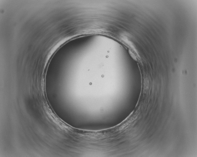 X0000059081340200510211532