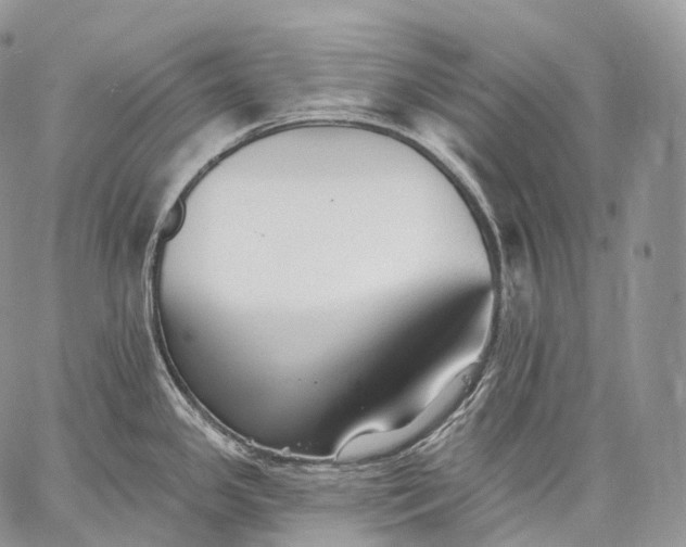 X0000059081341200510211532