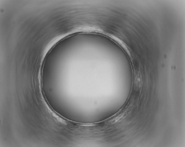 X0000059081343200510211532