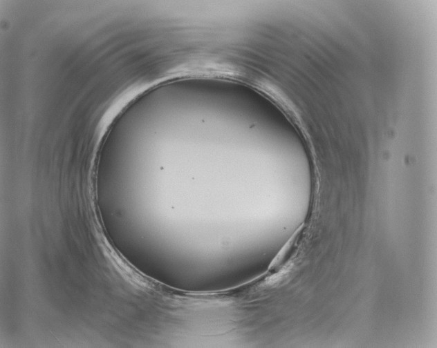 X0000059081344200510211532