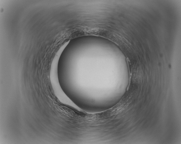 X0000059081345200510211531