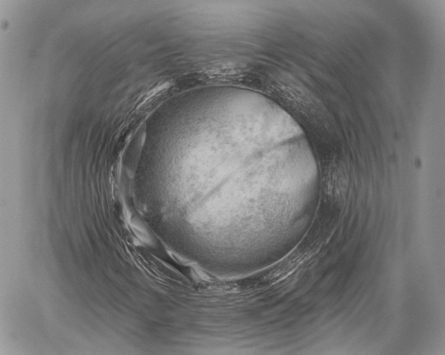 X0000059081346200510211531