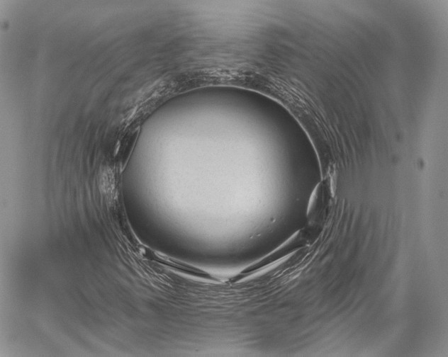 X0000059081347200510211531