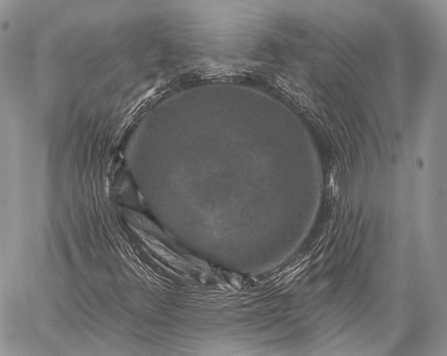 X0000059081348200510211531