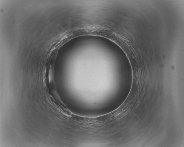 X0000059081349200510211531