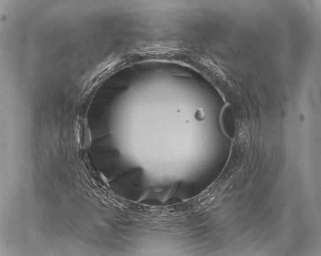 X0000059081350200510211531