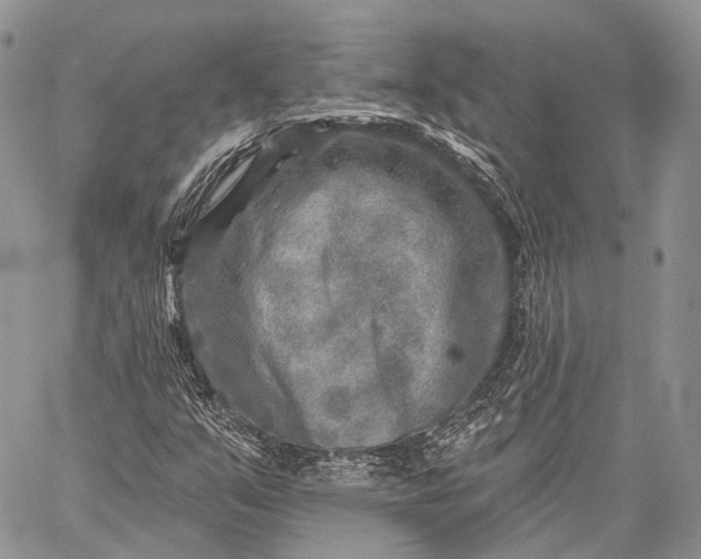 X0000059081351200510211531