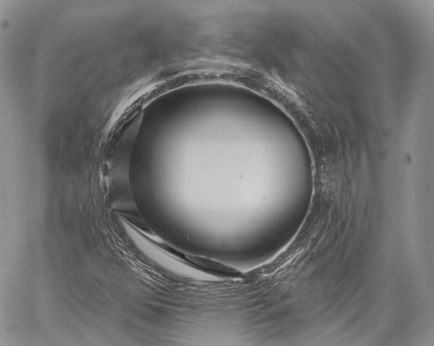 X0000059081352200510211531