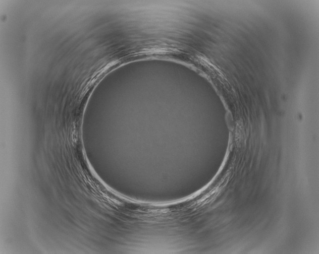 X0000059081353200510211531