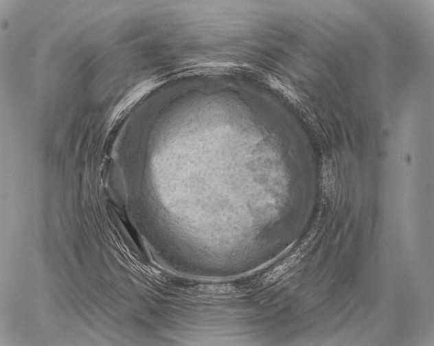 X0000059081354200510211531