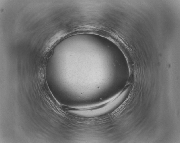 X0000059081355200510211531