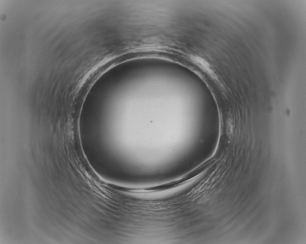 X0000059081356200510211531