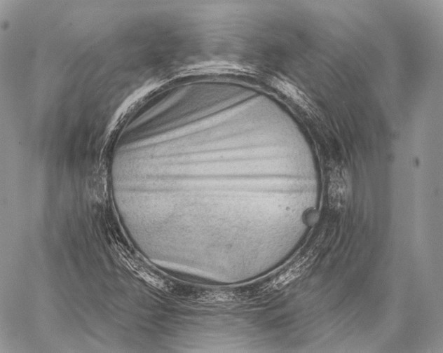 X0000059081358200510211531