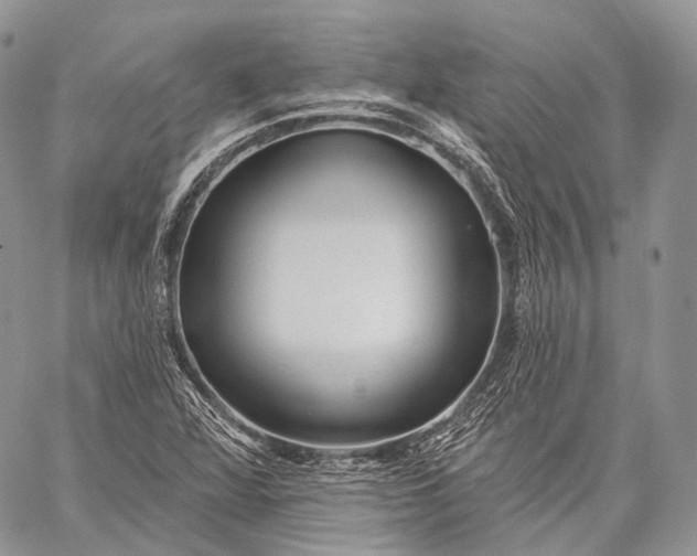 X0000059081360200510211531