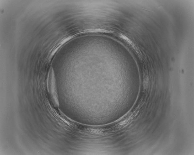 X0000059081361200510211531