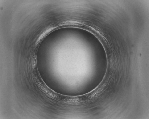 X0000059081363200510211531