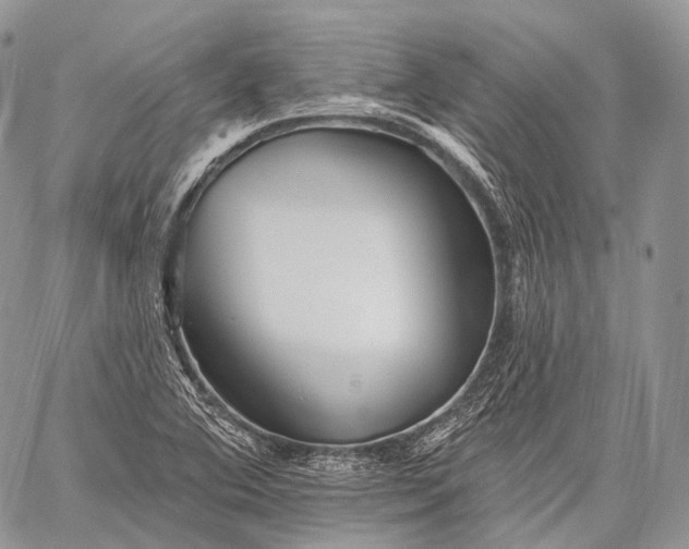 X0000059081364200510211531