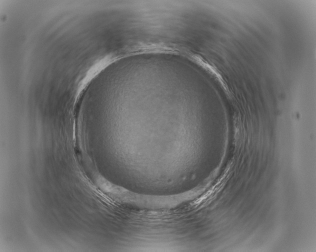 X0000059081365200510211531