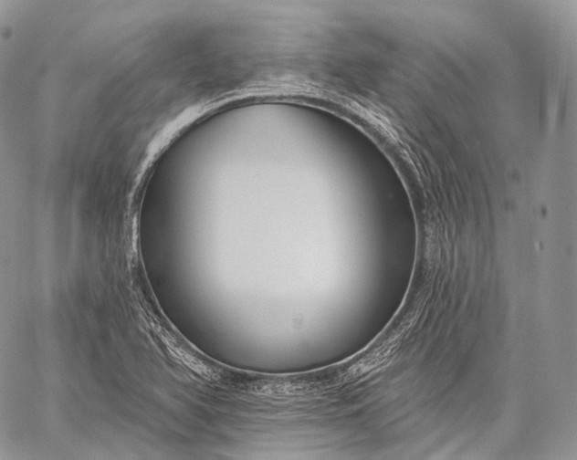 X0000059081366200510211531