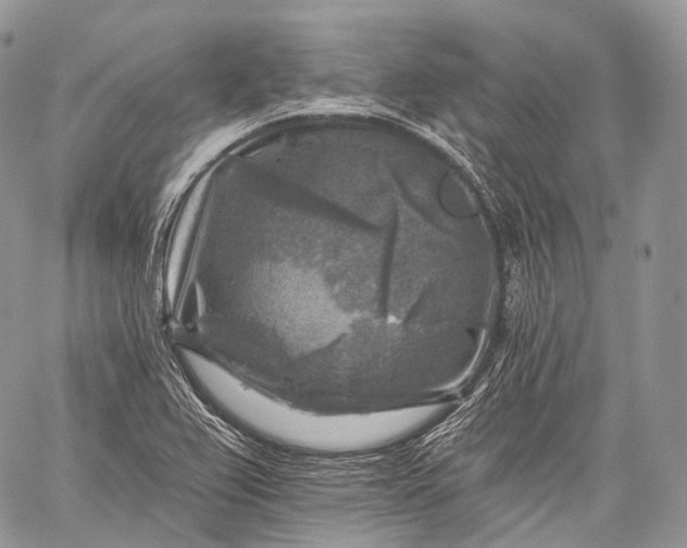 X0000059081367200510211531