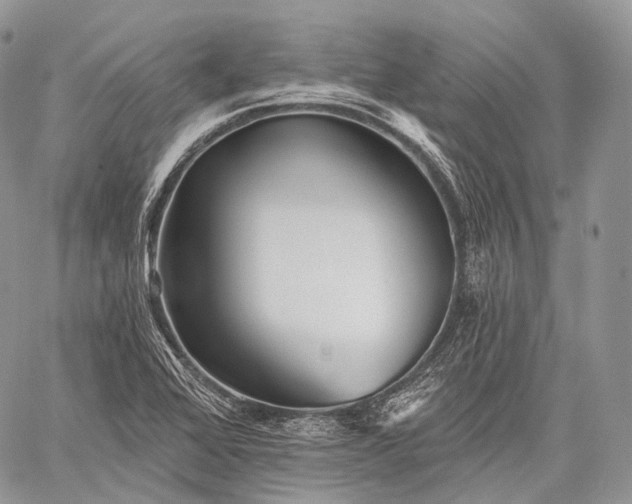 X0000059081368200510211531