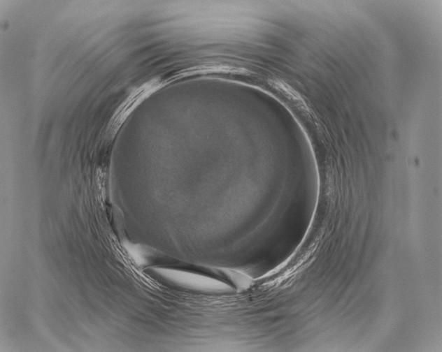 X0000059081369200510211531