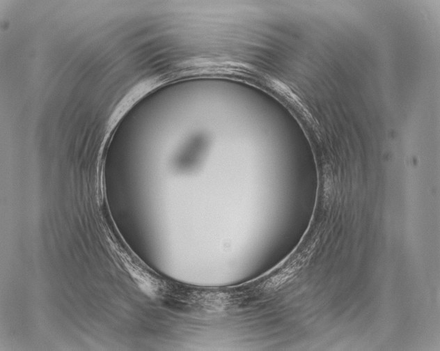 X0000059081370200510211531