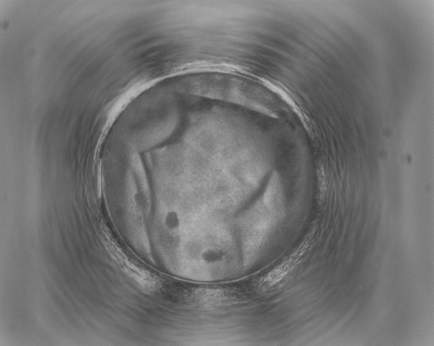 X0000059081371200510211531