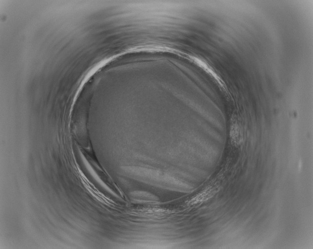 X0000059081372200510211531