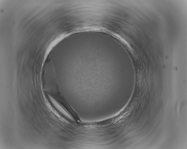 X0000059081373200510211531