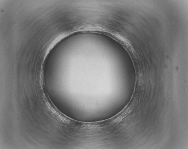 X0000059081374200510211531