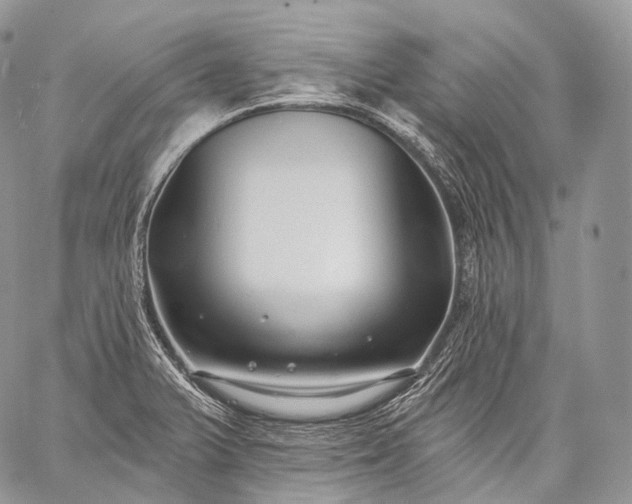 X0000059081375200510211531