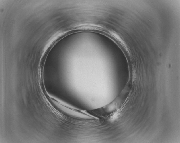 X0000059081376200510211531