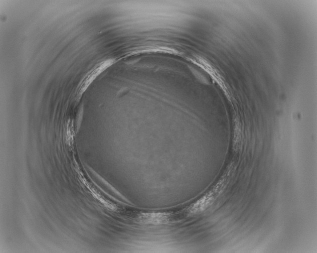 X0000059081377200510211531