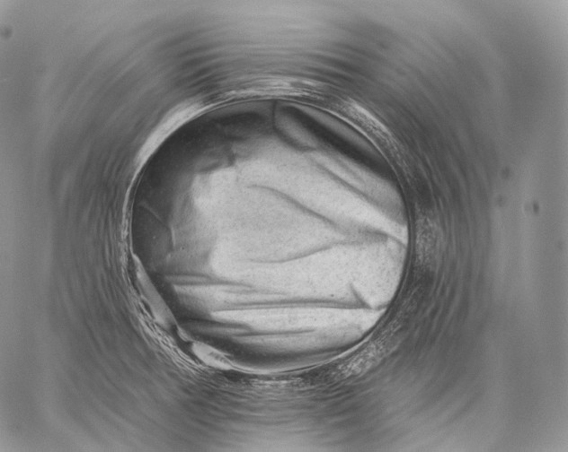 X0000059081378200510211531