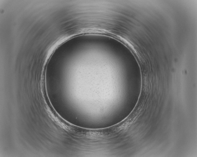 X0000059081379200510211531