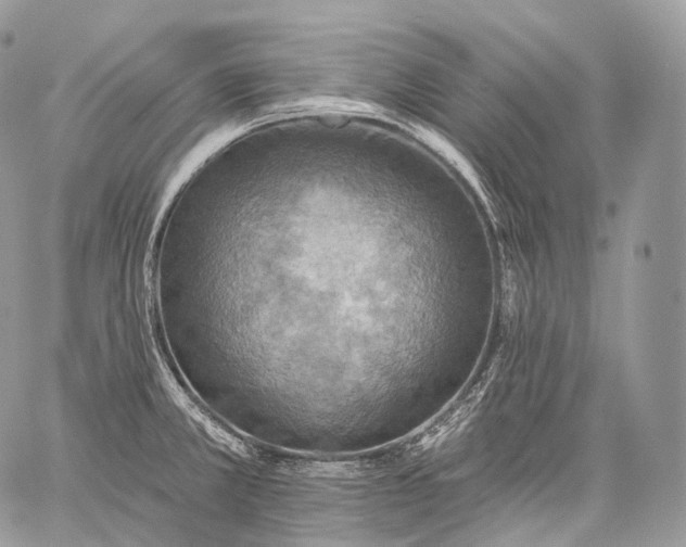 X0000059081381200510211531