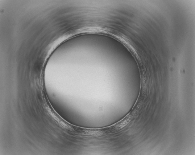 X0000059081382200510211531