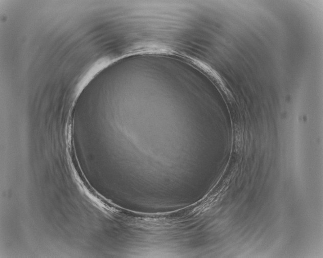 X0000059081383200510211531