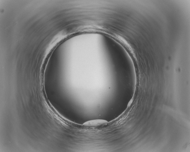 X0000059081384200510211531